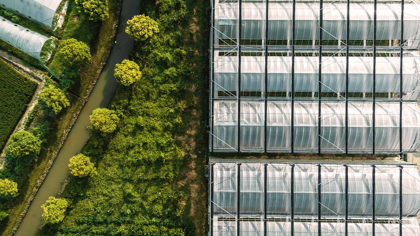 aerial view of greenhouses banner