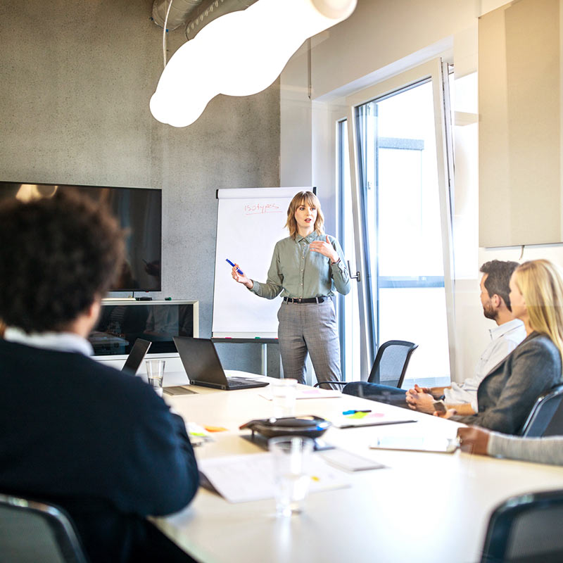 Professional presenting in front of a group