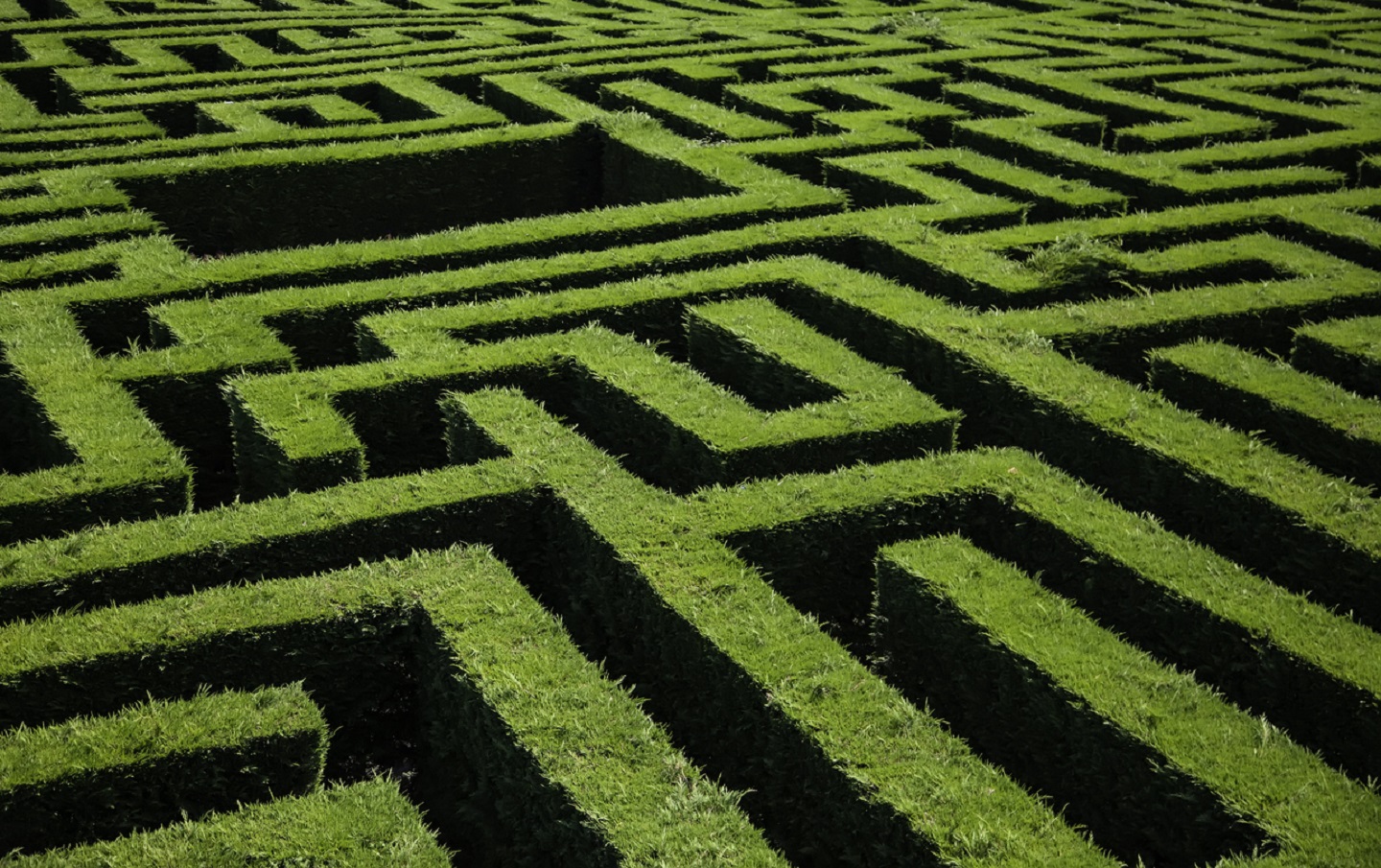 Maze detail in a forest, game and fun