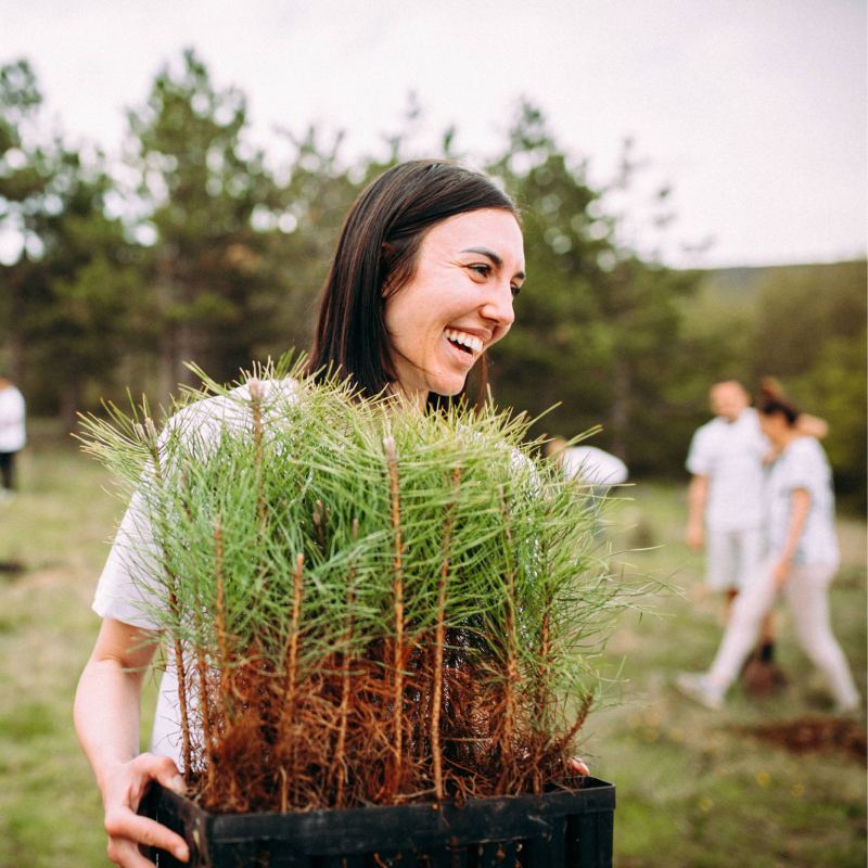 Woman watering cypress plants