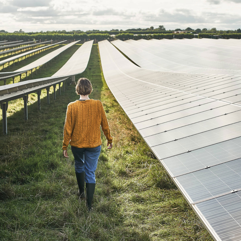 Young female farmer walking away from camera, between solar panels on her solar farm